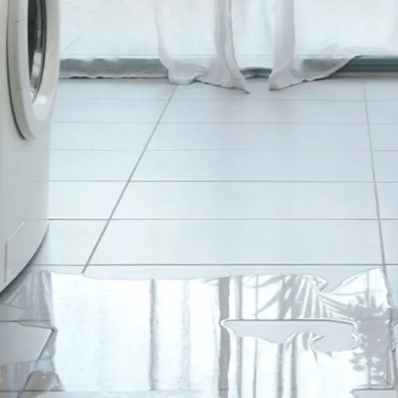 Appliance Leak Cleanup in Maysville, OK