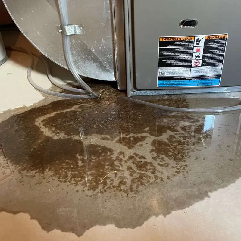 Pipe Burst and Leak Restoration in Maysville, OK