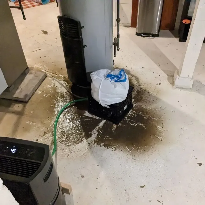 Sewage Backup Cleanup Service in Maysville, OK